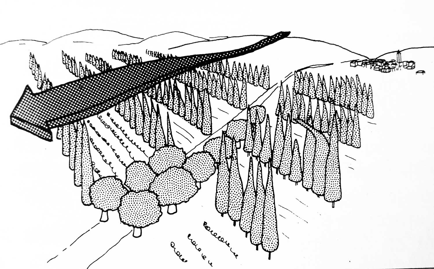 Agricultural windbreaks in series