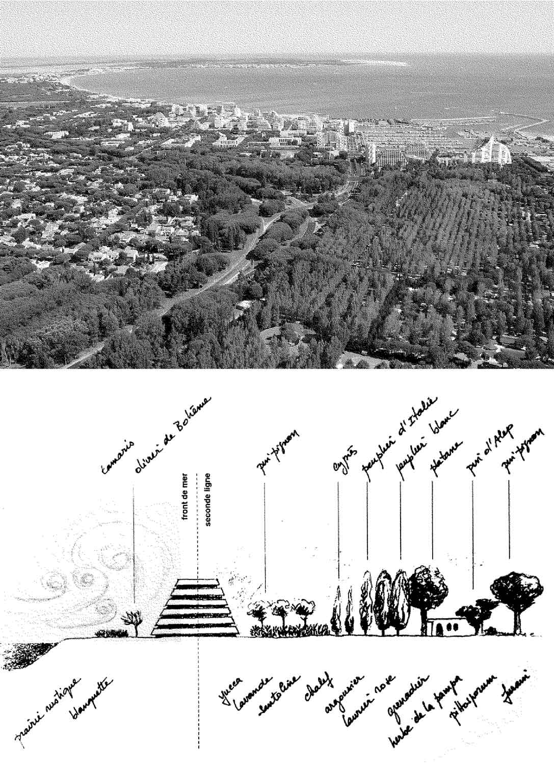 Illustration